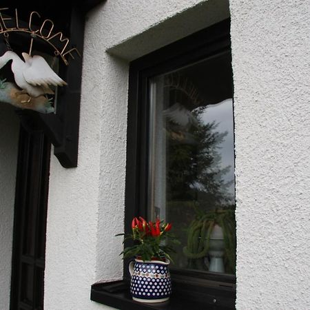 Ferienwohnung Am Steinbachtal Thale Exteriér fotografie