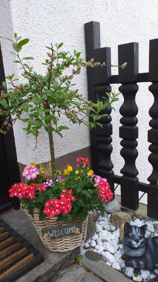 Ferienwohnung Am Steinbachtal Thale Exteriér fotografie