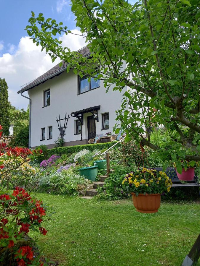 Ferienwohnung Am Steinbachtal Thale Exteriér fotografie